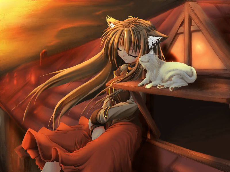 animal_ears cat cat_day cat_ears closed_eyes copyright_request gizensha long_hair long_sleeves rooftop sitting sky solo sunset