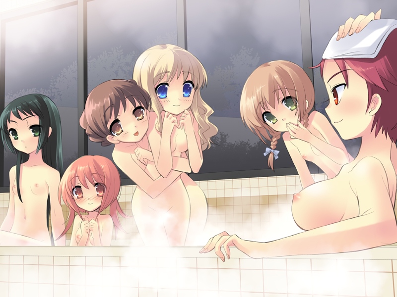 akihime_sumomo amamori_yayoi asamiya_akino asamiya_toua bath blonde_hair blue_eyes blush braid breasts brown_eyes brown_hair censored convenient_arm convenient_censoring everyone flat_chest fukamichi_nobuko green_eyes green_hair hug itou_noiji koiwai_flora multiple_girls nanatsuiro_drops nipples nude red_eyes red_hair small_breasts steam steam_censor towel towel_on_head twin_braids white_towel window yaeno_nadeshiko yuki-chan