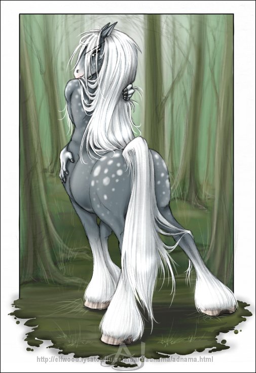anthro appaloosa butt centaur covering covering_self equine equitaur facing_away female fetlocks forest from_behind fur furry grey_fur hair holding hooves horse hug human long_hair looking_at_viewer looking_back mammal mare pointy_ears solo spotted_skin standing taur tree white_hair wood