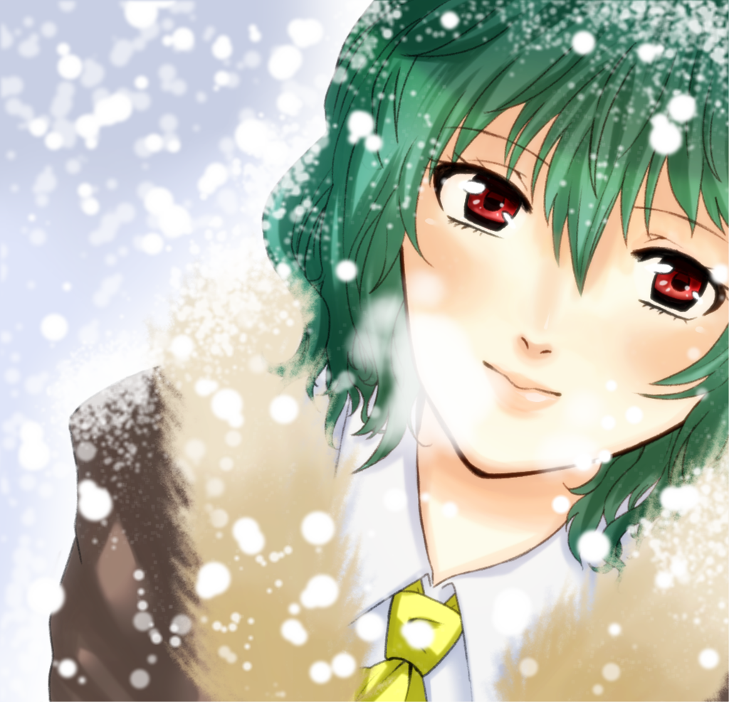 bad_id bad_pixiv_id bajinappo blush coat from_above fur_trim green_hair kazami_yuuka light_smile lips looking_up portrait red_eyes snow solo touhou