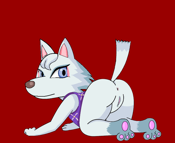 anthro anus ass_up bianca bsting butt canine female fur hair mammal nintendo presenting presenting_hindquarters pussy solo video_games white white_fur white_hair whitney whitney_(animal_crossing) wolf