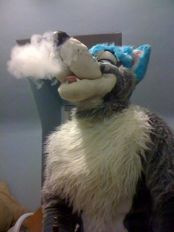 drugs frostwolf_(artist) fursuit hookah mammal real smoke wolf