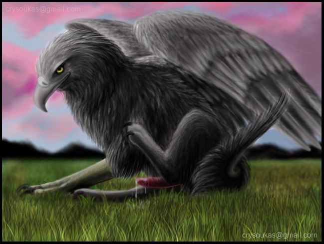 2009 avian crysoukas cum feral gryphon male outside penis solo wings