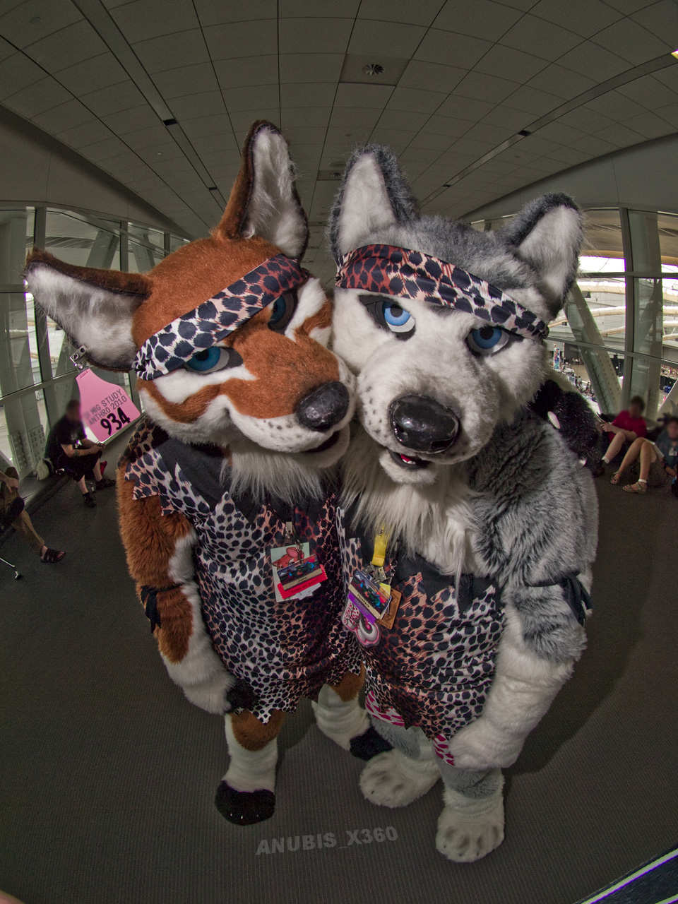 bandanna blue_eyes canine dog ear_tag fish_eye fursuit huskers husky juno male mammal married photo real unknown_artist wolf