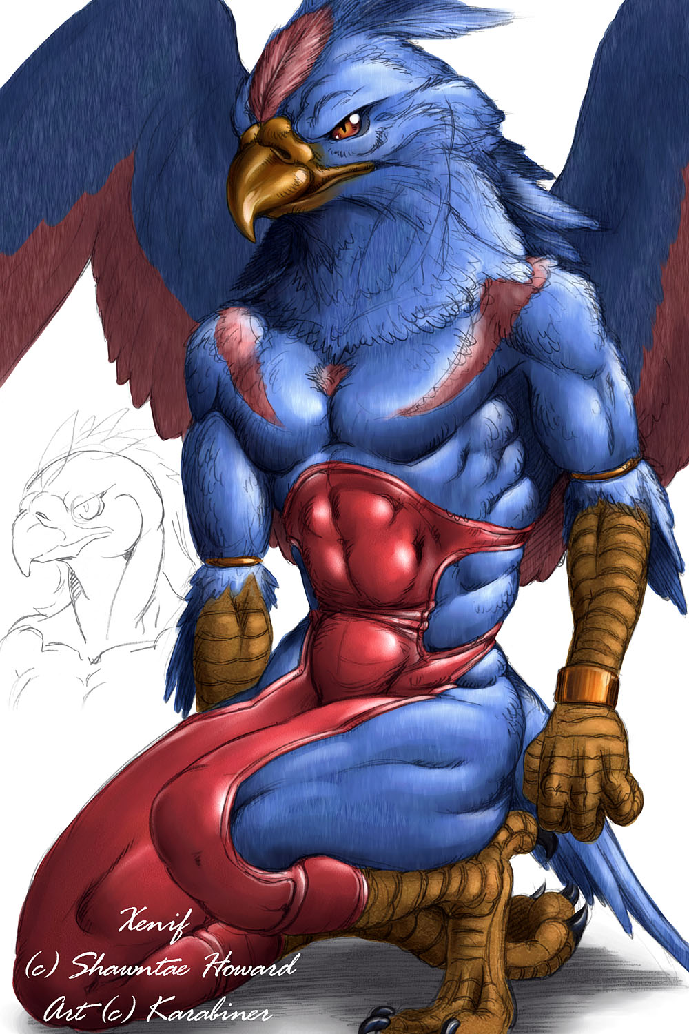 anthro avian beak bird blue blue_feathers claws crouching extinctioners feathers hindpaw karabiner kneeling male markings muscles paws plain_background red red_markings solo talons white_background wings wristband xenif_(character)