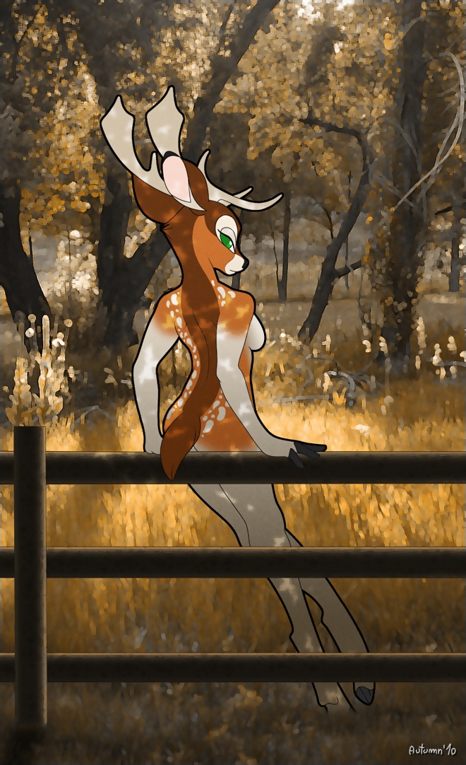 2010 antlers autumn autumndeer back black_nose breasts brown cervine deer digitigrade fallow_deer fence forest green_eyes herm hooves horns intersex looking_at_viewer looking_back nature nude orange outside shopped side_boob solo spots tail tree white