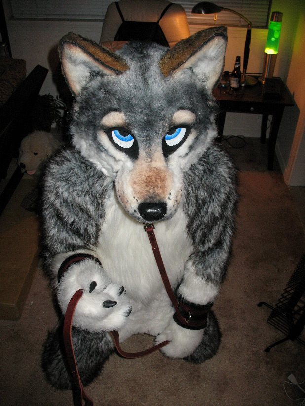 bondage bound canine collar fursuit mammal pose real unknown_artist wolf