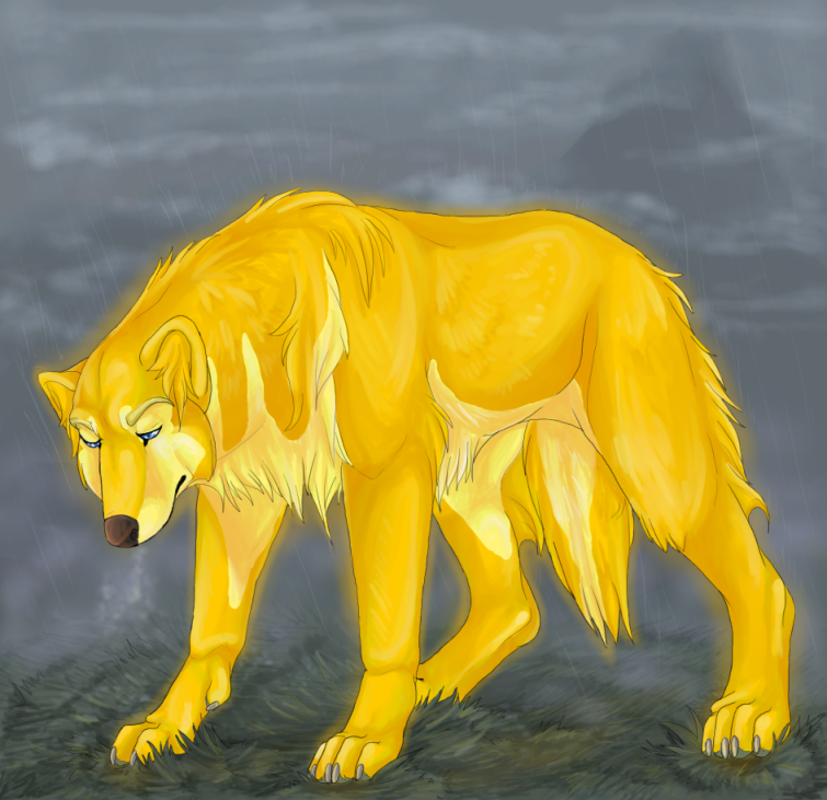 canine dog feral fur gold grass grey lonely mammal non-anthro rain solo yellow yellow_fur