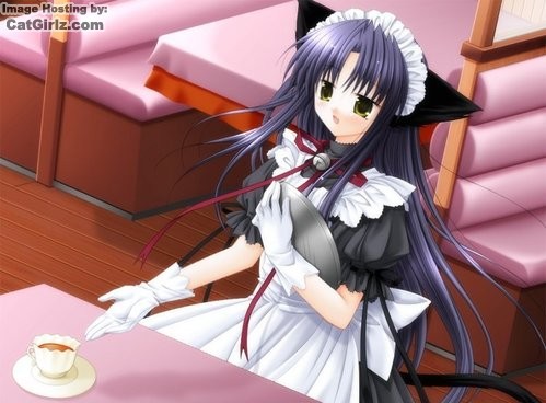 cat_ears female kemonomimi maid maid_uniform nekomimi solo