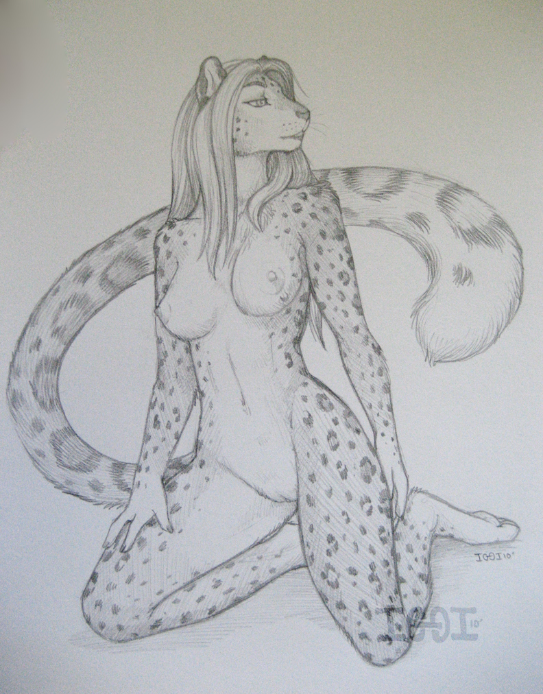 breasts feline female greyscale iggi leopard mammal monochrome nipples nude plain_background pussy sketch snow_leopard solo white_background