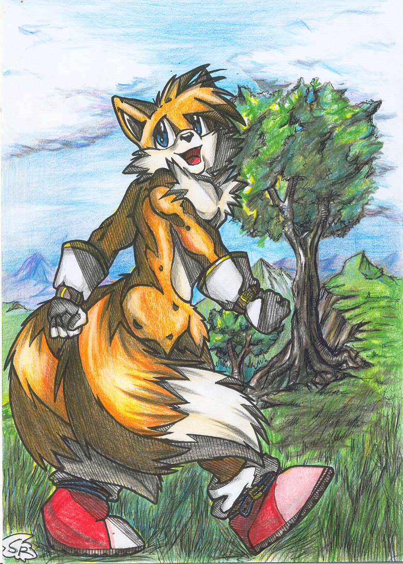 anthro canine chest_tuft fox fur gloves male mammal miles_prower multiple_tails sega solo sonic_(series) tail tree tuft wood