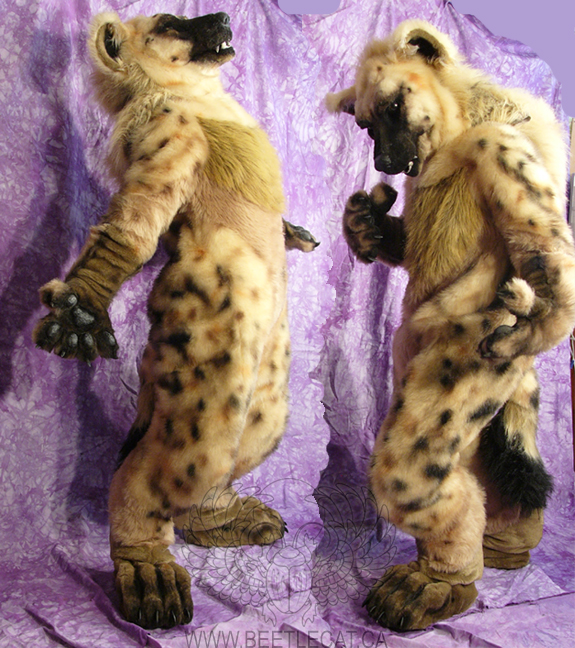 ambiguous_gender beetlecat fursuit hyena mammal real