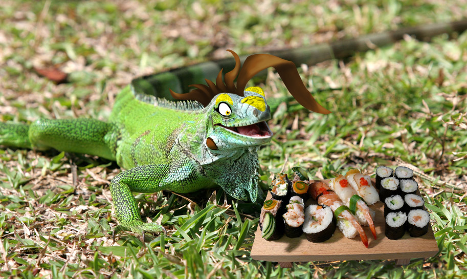 feral lizard lizardbeth lizardbeth_(character) real scalie shopped sushi