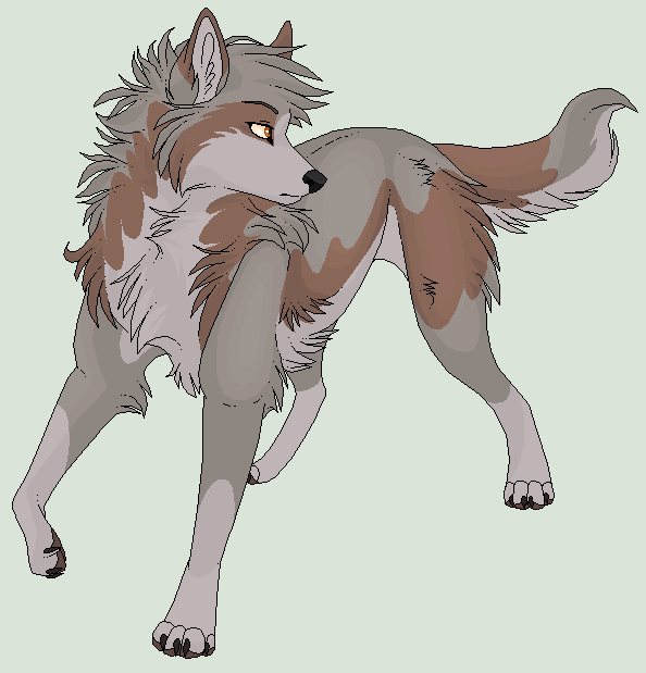feral male mammal non-anthro plain_background solo unknown_artist white_background wolf