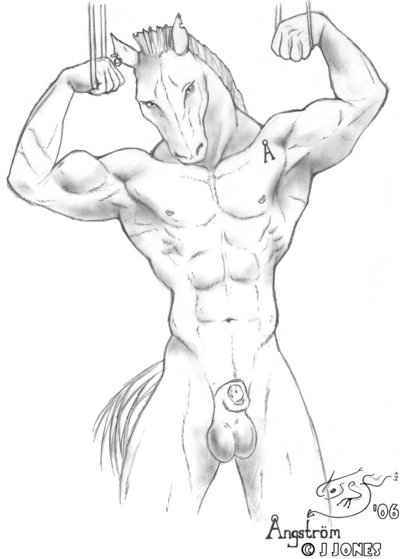 equine horse josef_jones male mammal muscles nude penis plain_background white_background