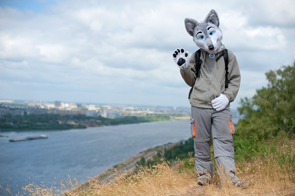 blue_eyes canine collar fursuit looking_at_viewer mammal nature outside paws photo real scenic solo unknown_artist water wave waving wolf
