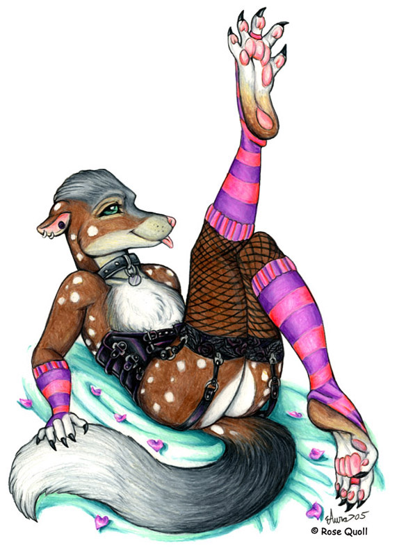 aura_moser butt collar corset female fishnet hindpaw legwear mammal marsupial paws piercing plain_background quoll rose_quoll solo stockings toe_ring white_background