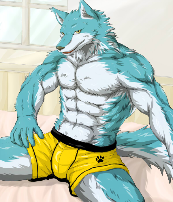 anthro bed biceps big_muscles blue blue_fur boxers canine clothing fur looking_at_viewer male mammal muscles pawprint pecs pose shorts sitting solo tail topless underwear wildheit window wolf yellow_eyes
