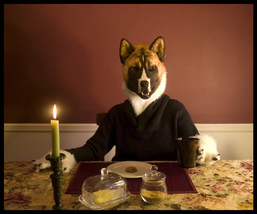 anthro candle canine dog fursuit looking_at_viewer mammal photo qarrezel real table