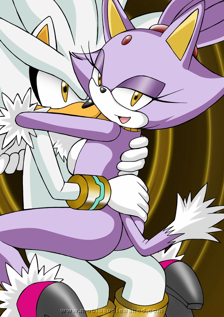 blaze_the_cat embrace feline female looking_at_viewer mobian mobius_unleashed nude purple riding sega silver_the_hedgehog smile sonic_(series)