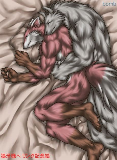 bed biceps big_muscles bomb_(artist) canine couple embrace gay male mammal muscles pillow sheets sleeping tail wolf