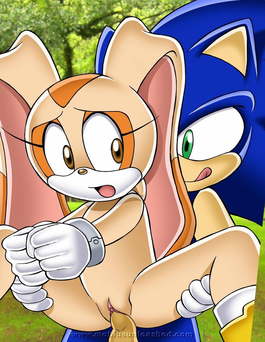 bdsm bondage cream_the_rabbit cub cuffs female from_behind hedgehog male mobian mobius_unleashed penetration penis pussy riding sega sonic_(series) sonic_the_hedgehog tongue vaginal vaginal_penetration