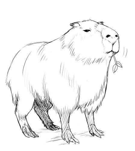 animal capybara fur lowres mofuringu monochrome sketch twig