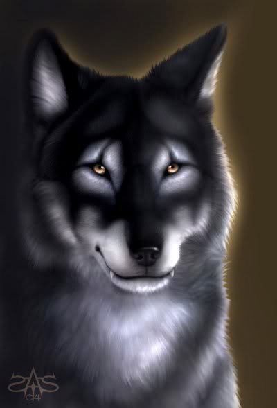 brown_eyes canine fangs feral khaosdog mammal portrait solo traditional_media wolf