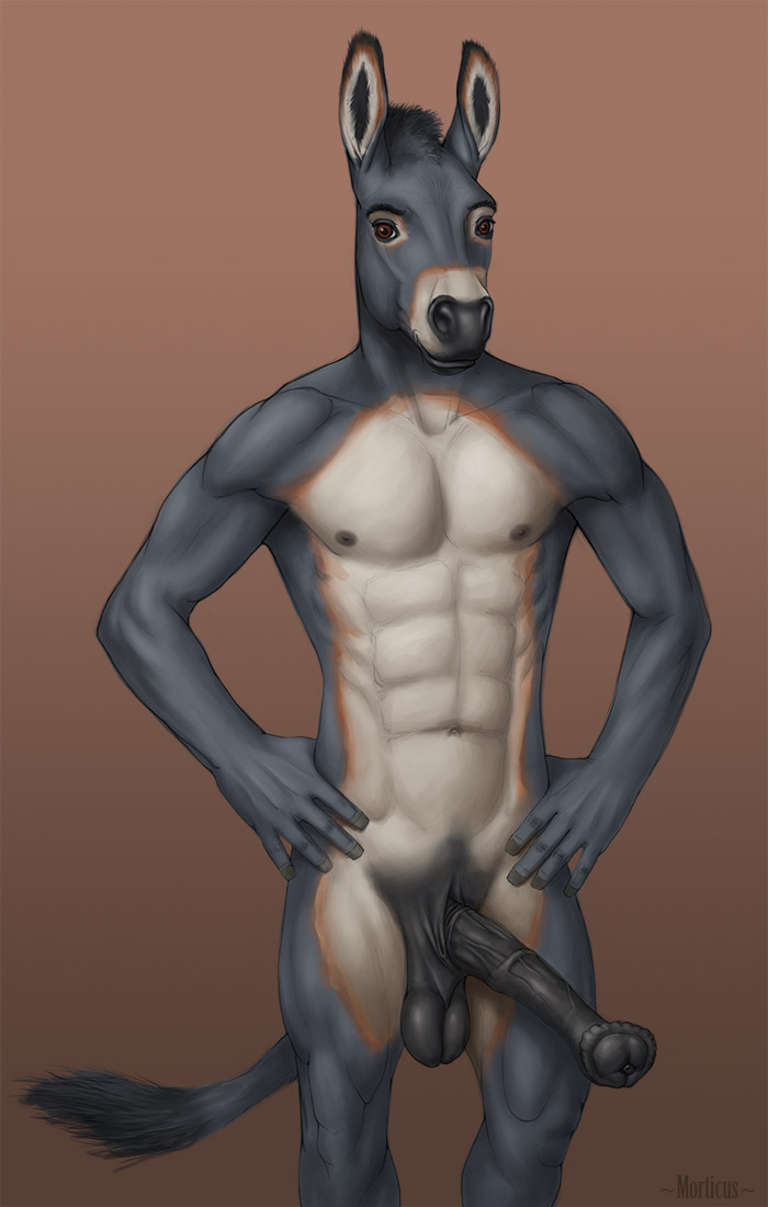 anthro balls donkey equine erection horsecock lemon_testicles male mammal morticus muscles nude penis pose solo
