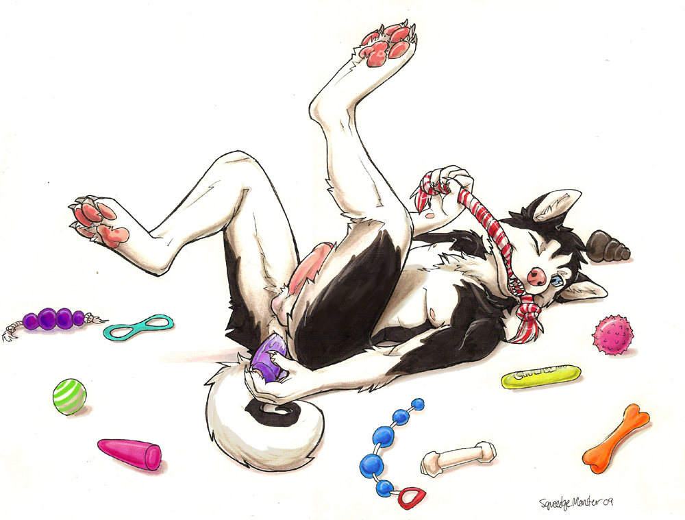 2009 anal anal_dildo anal_insertion anal_masturbation anal_penetration anus ball balls black blue_eyes canine curled_tail digitigrade dildo dog erection husky insertion male masturbation nude on_back one_eye_closed penetration penis sex_toy solo squeedgemonster tail toys white white_background