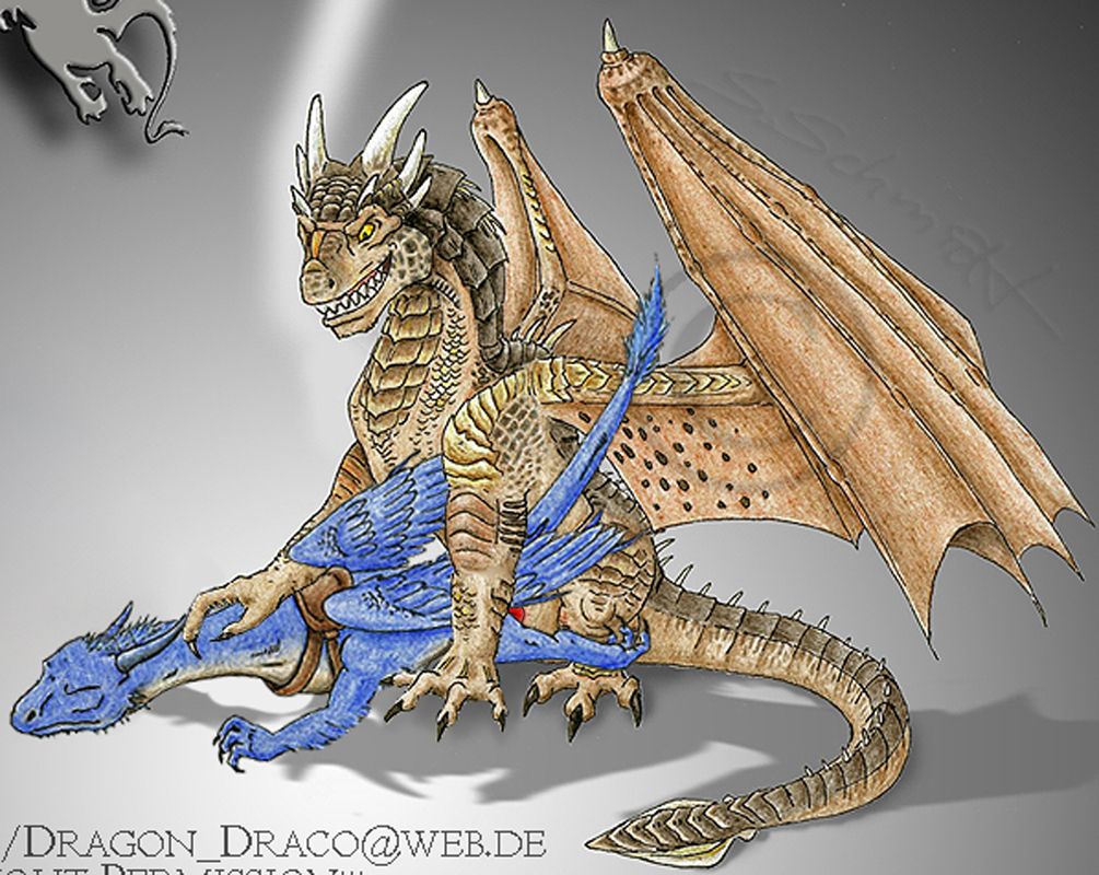 couple draco dragon dragonheart eragon female feral male penetration penis saphira scalie shopped strecno wings