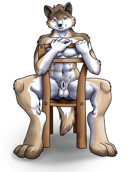 balls canine chair male sheath solo unknown_artist wolf