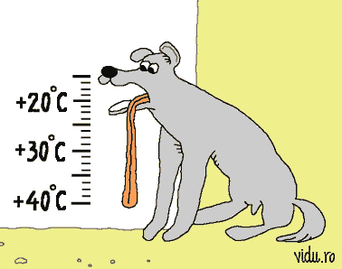 animated canine dog gif heat long_tongue solo thermometer tongue_out