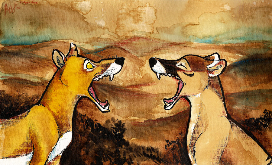 canine culpeofox feral fox mammal marsupial non-anthro thylacine