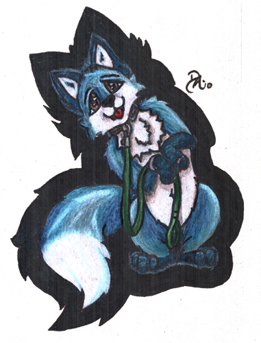 alpha_channel begging_pose blue blue_fur border bracelet brown_eyes canine chest_tuft chibi collar colored_pencil_(art) countershading daelyhelaxon dipstick_tail ears_up feral fluffy_tail fox fur head_tilted jewelry leash male mammal markings nude open_mouth pencil_color plain_background pointy_ears red_tongue ring socks_(marking) solo tongue tongue_out transparent_background tuft white_countershading white_fur