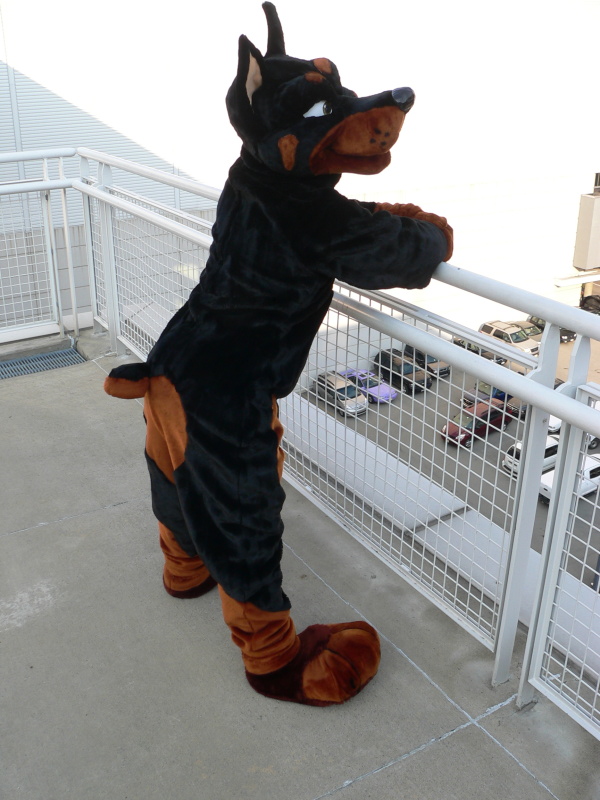 balcony canine doberman dog fursuit male mammal outside pose real solo tail unknown_artist