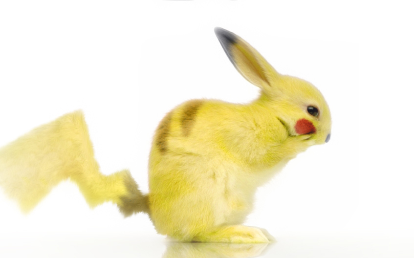 feral lagomorph photo photo_manipulation photoshop pikachu pikachu_(artist) pok&eacute;mon rabbit real solo