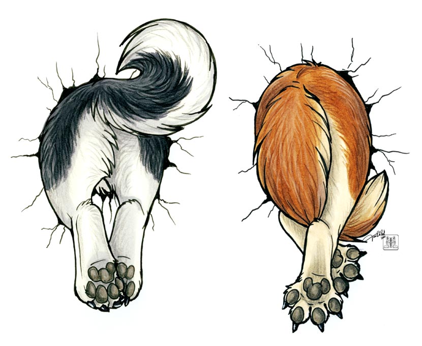 avoid_posting butt canine conditional_dnp dog feral husky male mammal non-anthro plain_background tani_da_real white_background