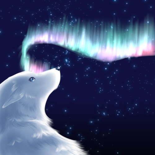 2010 ambiguous_gender aurora_borealis blue_eyes canine garouga solo stars wolf