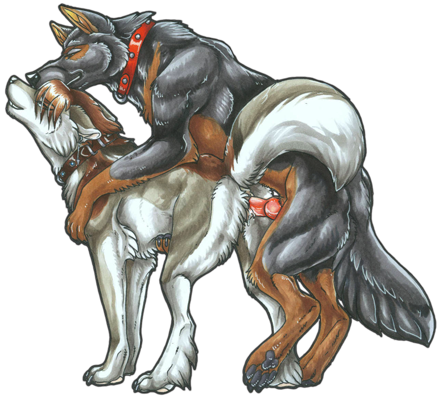alpha_channel anatomically_correct canine canine_penis canine_pussy collar dog female feral german_shepherd knot male penis sex wielder wolf