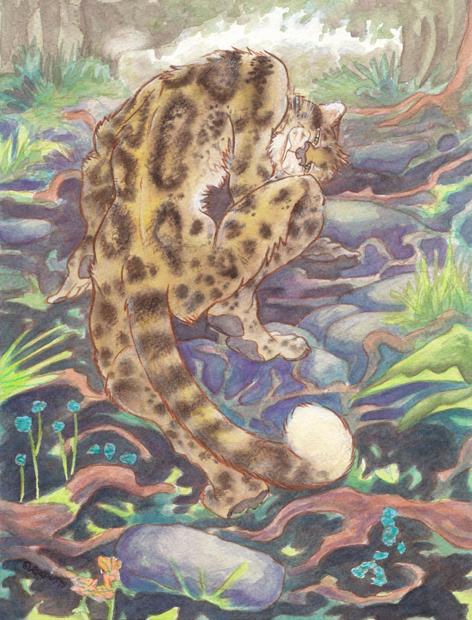 back_turned black_nose clouded_leopard feline flower forest from_behind grass kaputotter male mammal nude outside pawpad pawpads rock solo spots tree whiskers wood