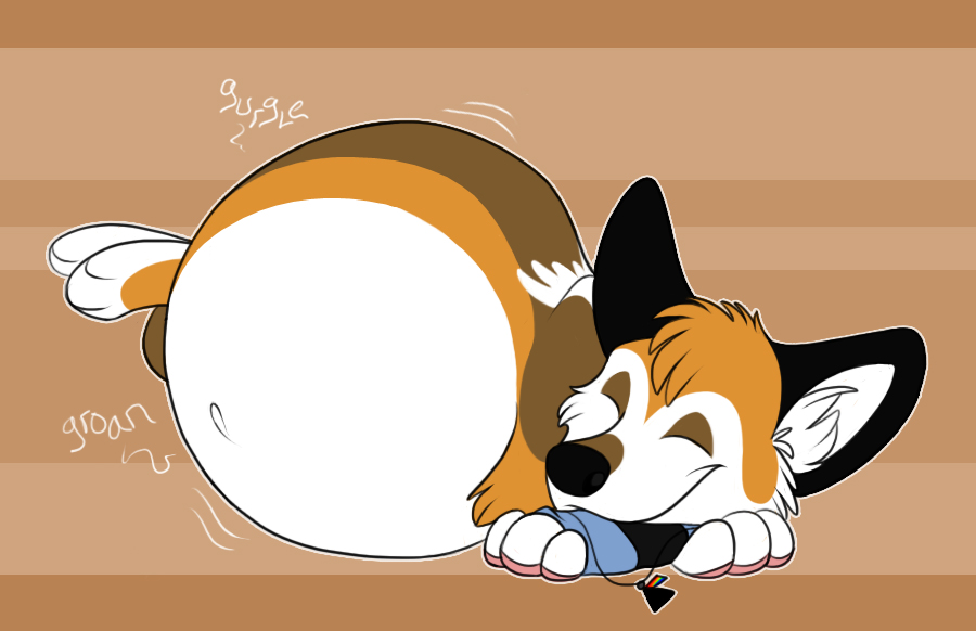 belly canine corgeh corgi dog eyes_closed fat female groan gurgle mammal obese overweight sleeping solo stuffed