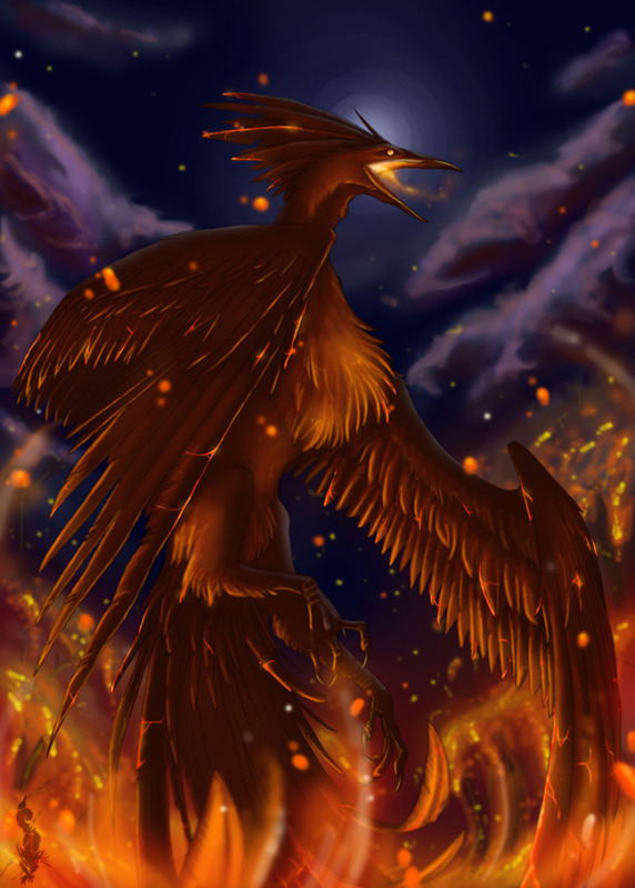 avian bird fire moltres pok&eacute;mon solo unknown_artist wings