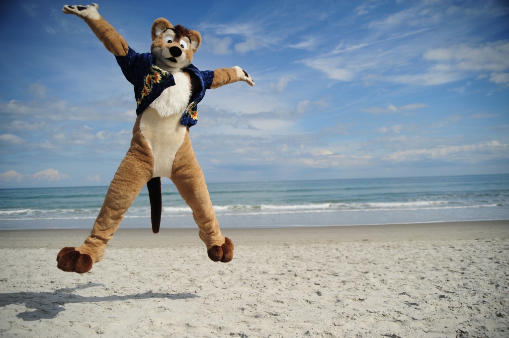 black_eyes fursuit jumping karpour looking_at_viewer male mammal marsupial nature outside scenic seaside solo thylacine unknown_artist