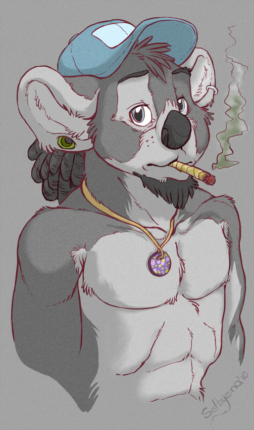 dreadlocks drugs fur gauged_ears grey grey_fur hat hyenarussell jewelry joint koala looking_at_viewer male mammal marijuana marsupial necklace piercing smoking solo stoned stoner stretched_ears