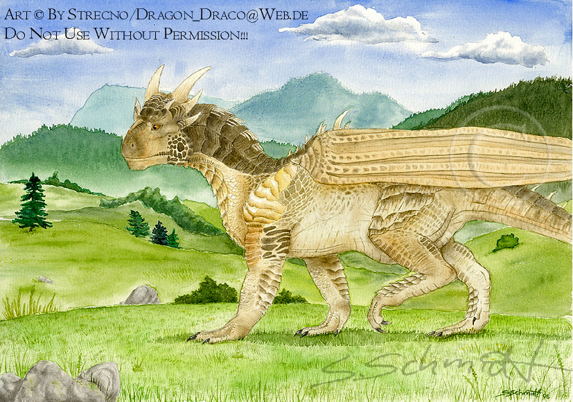 draco dragon dragonheart feral male scalie strecno wings