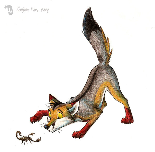 2009 ass_up canine culpeofox feral fox playful raised_tail scorpion tail