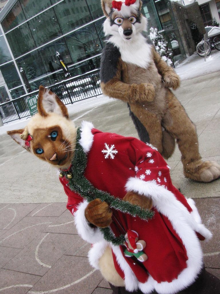 ambiguous_gender christmas costume feline female fursuit holidays male mammal mugo real seylyn siamese xmas