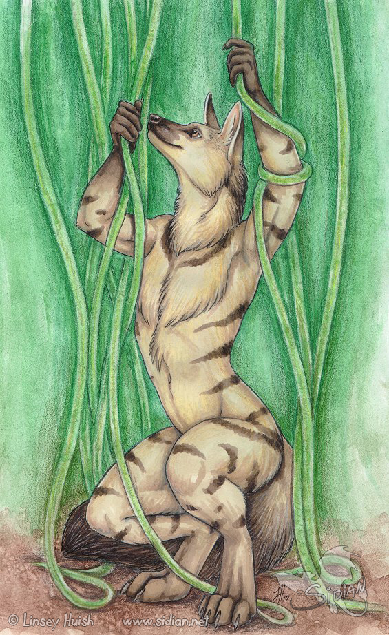 2010 aardwolf linsey_huish male murashu nude solo vines