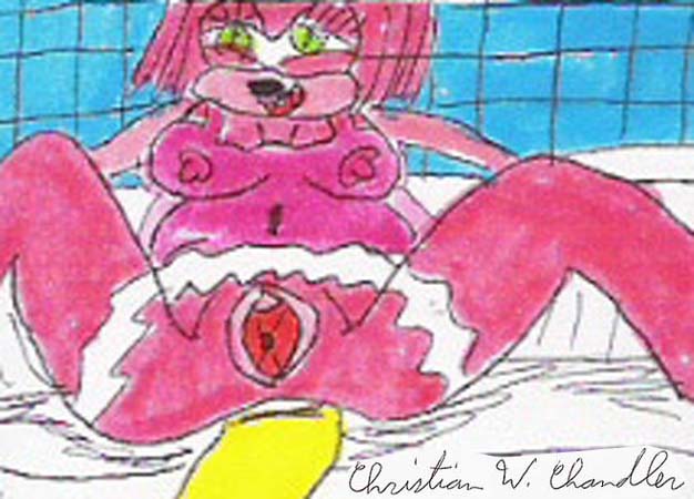 amy_rose awesome_face breasts chris_chan clitoris female gaping green_eyes hedgehog looking_at_viewer nipples pikachu pink pok&eacute;mon pussy rosechu solo tail translucent transparent_clothing what what_has_science_done